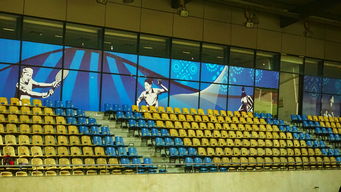 九游娱乐官方网站-新加坡队未来计划：建立更完善的青少年乒乓培养体系，新加坡乒乓球运动