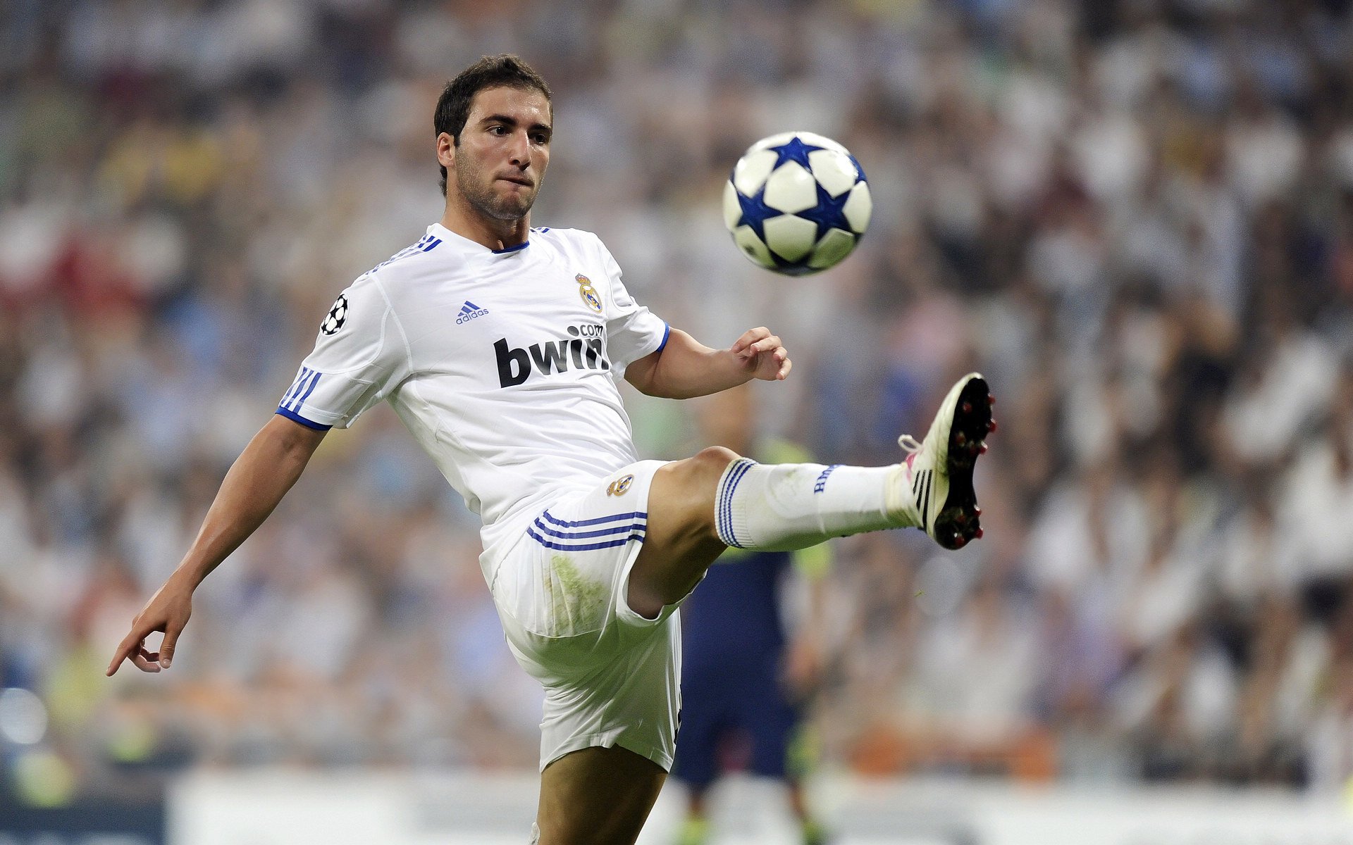 中国九游体育-字母哥透露愿意承担更多季后赛压力，字母哥进了几次季后赛