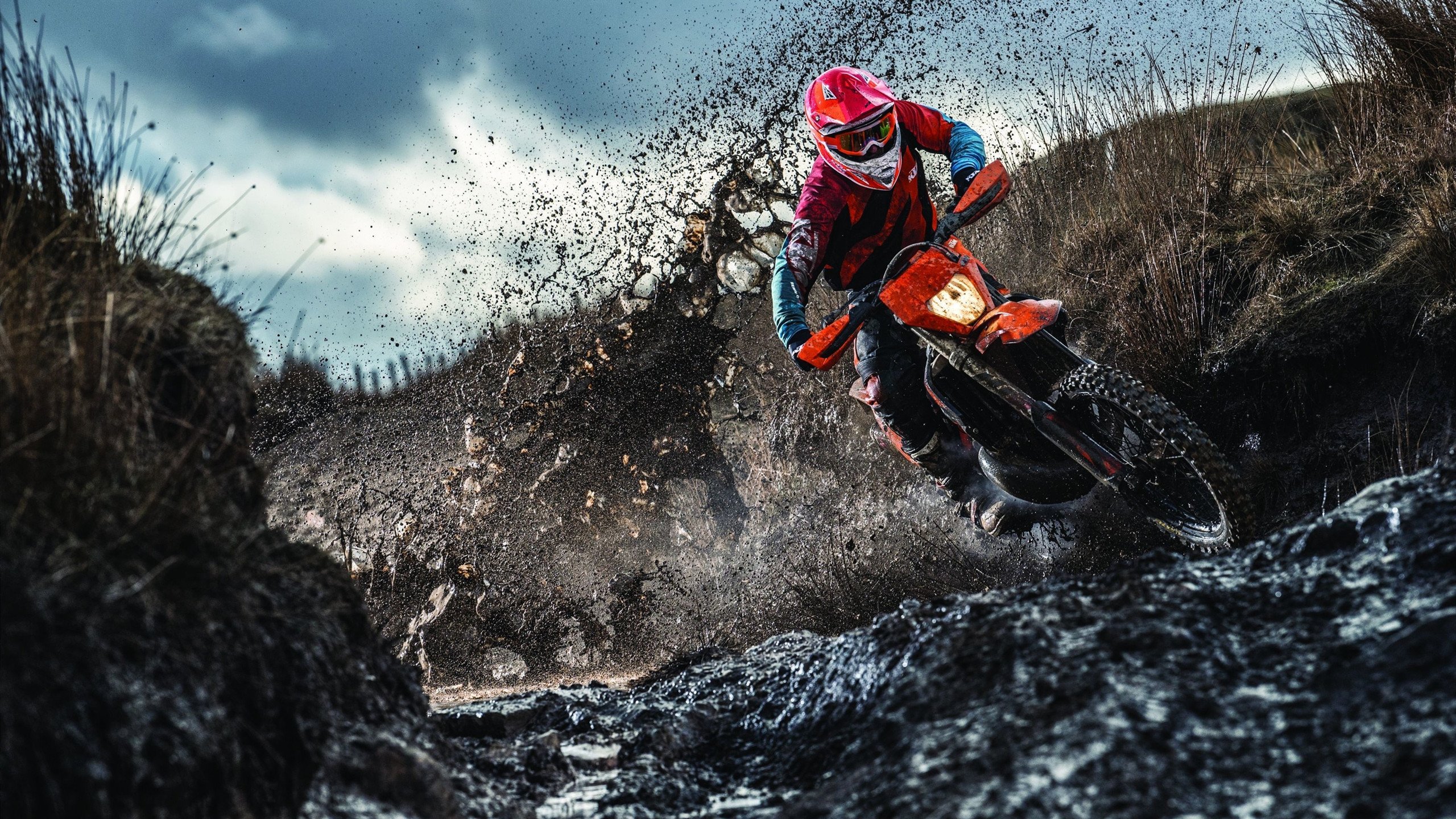 _数字体育：区块链技术赋能未来运动_，区块链+体育