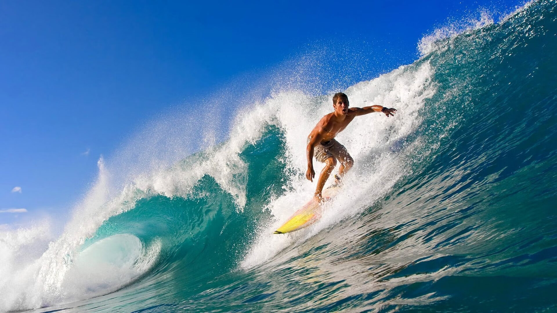 九游娱乐APP-野外生存技能运动会，体验自然的考验，野外生存活动